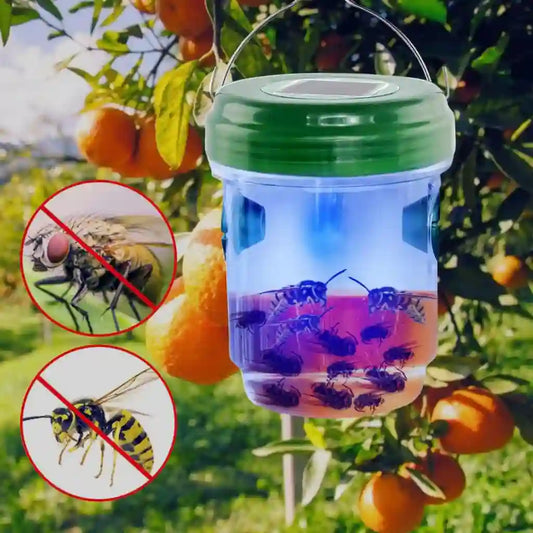 Solar-Powered Trap for Wasps and Hornets